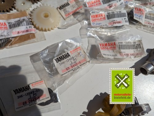 PXL_20240528_133725649